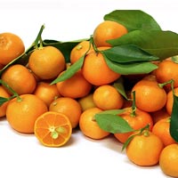 Calamondin