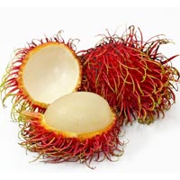 Rambután